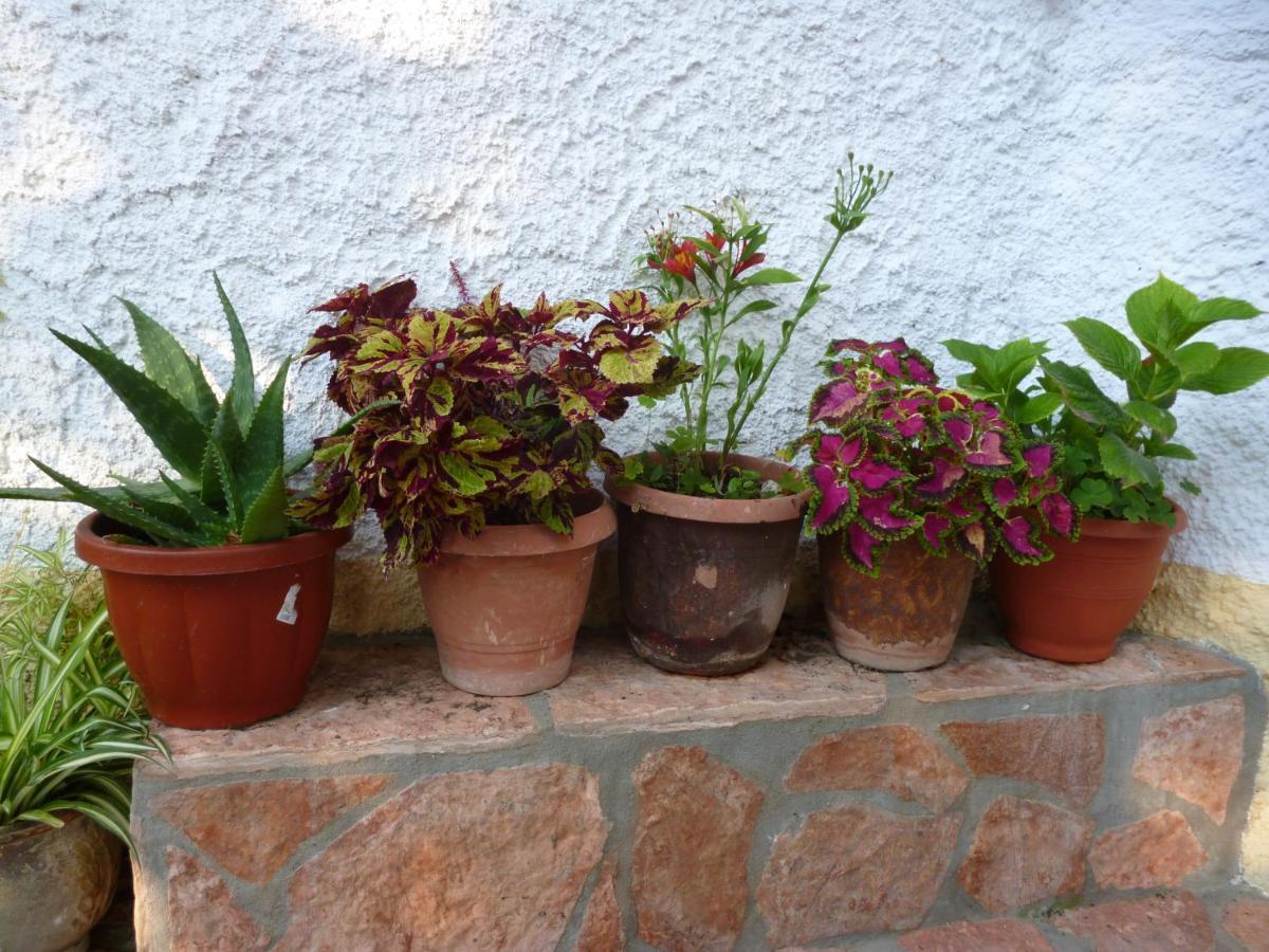 אגיוס גיורגיוס פגון Kostas Apartments & Studios מראה חיצוני תמונה